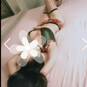 ThaiTouch (Foto #16)