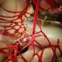 Mrs Xhora (Foto #9)