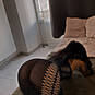 Giorgiana (Foto #8)
