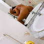 Samira (Foto #5)