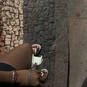 Dianna (Foto #17)