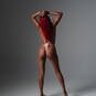 Kataleya (Foto #4)