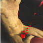 Marcello (Foto #2)
