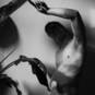 IrisRedHorse (Foto #8)