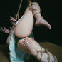 IrisRedHorse (Foto #3)