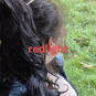 Katty (Foto #10)