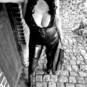 Katty (Foto #2)