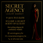 Secret Agency (Foto #2)