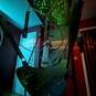 Mistress NAELLE (Foto #57)