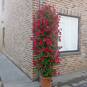 Affaire Salon (Foto #9)