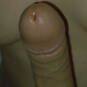 Belgiandater (Foto #2)