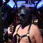 Master Dax (Foto #8)