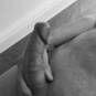 Jack (Foto #2)