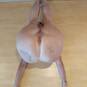 VAGINELLA (Foto #2)