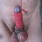 Koeni (Foto #3)