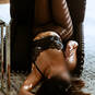 Newvee-photos (Foto #12)