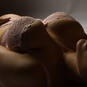 RL Photography. Priv & escort (Foto #25)