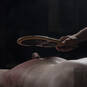 BDSM Meester Alfred (Foto #8)
