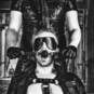 BDSM Meester Alfred (Foto #3)