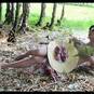 Salmita (Foto #10)