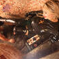 Fetish Katherina (Foto #117)