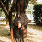 Alessandra tatto (Foto #199)