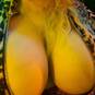 Mistress (Foto #5)