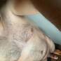 Boyke29 (Foto #3)