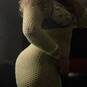 Shakira (Foto #20)