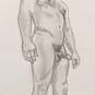 Steve (Foto #2)