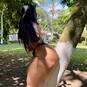 REBECA COQUINE (Foto #19)