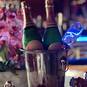 Cafe camelia (Foto #2)