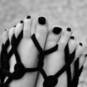 Aurore (Foto #17)