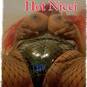 Hot Nicci (Foto #12)