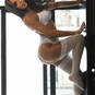 Ashiley trans (Foto #70)