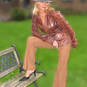 Sylvia (Foto #4)