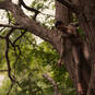 Nkolika\'s Holistic Way (Foto #42)