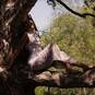 Nkolika\'s Holistic Way (Foto #46)