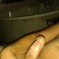 Carlod (Foto #4)