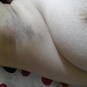 Harige kut (Foto #5)