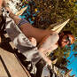 Jeffrey (Foto #4)