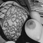Rebecca enceinte (Foto #28)