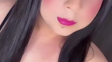 PRICIS TRANS
