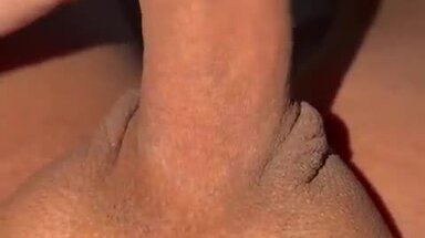 Putiela